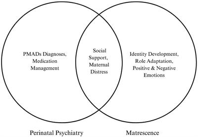 A critical need for the concept of matrescence in perinatal psychiatry